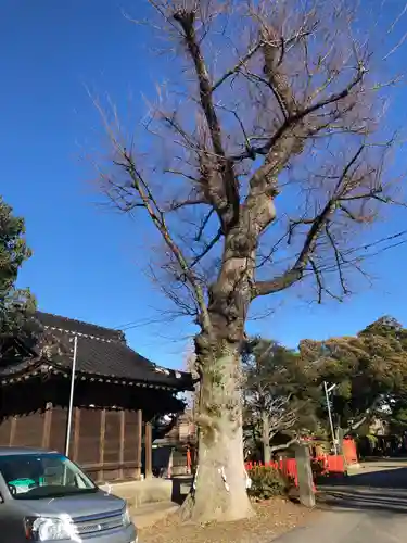 幸宮神社の自然