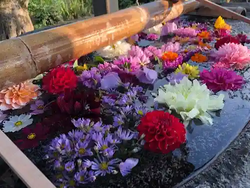 春日神社の手水舎