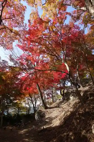 笠置寺の庭園