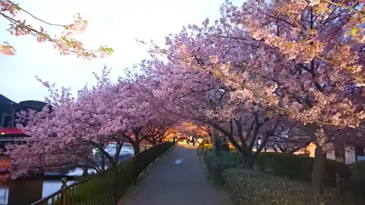 須佐乃男神社 (静岡県)