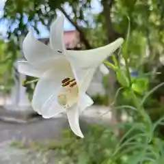 豊景神社(福島県)