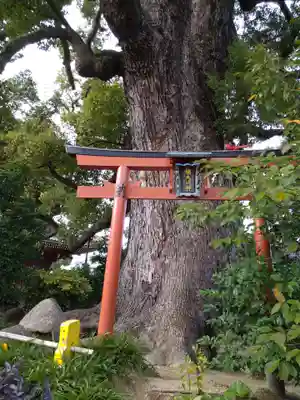法楽寺(大阪府)