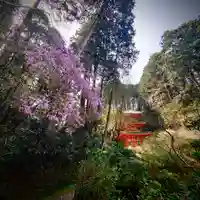 岩船寺(京都府)