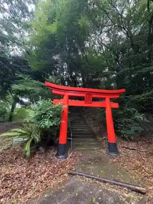 大學稲荷神社の鳥居