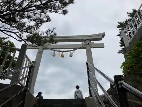 海津見神社（桂浜龍王宮）の鳥居