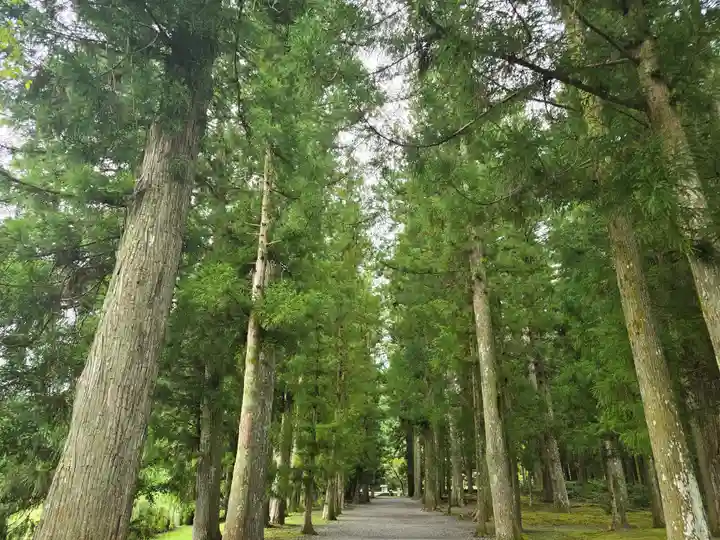 大斎原(熊野本宮大社旧社地)(和歌山県)