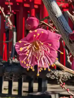 白山神社(東京都)