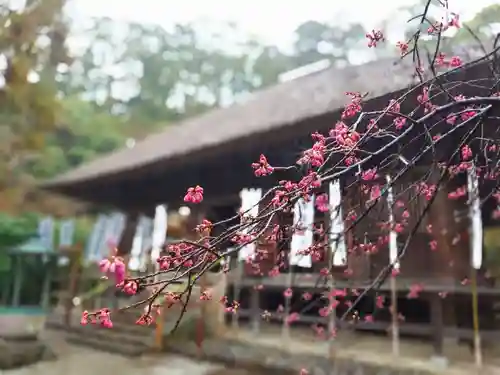 杉本寺(神奈川県)
