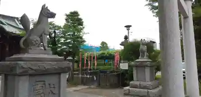 半田稲荷神社の狛犬