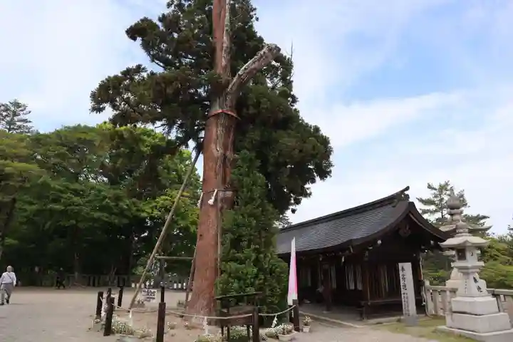 吉備津彦神社(岡山県)