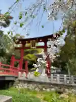 氣比神宮(福井県)