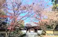 宝珠山 観泉寺(東京都)