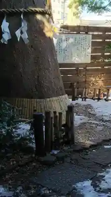 鎮守氷川神社のその他建物