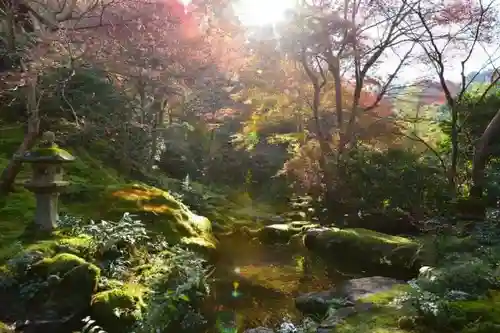 光明寺瑠璃光院の庭園