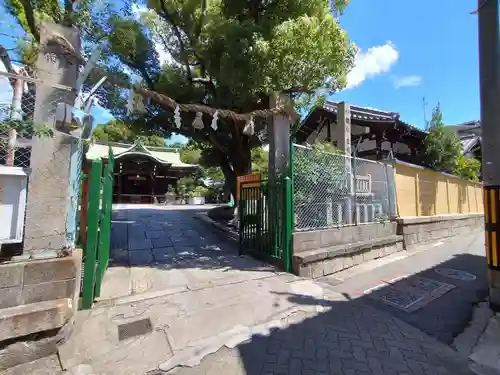 生根神社(大阪府)