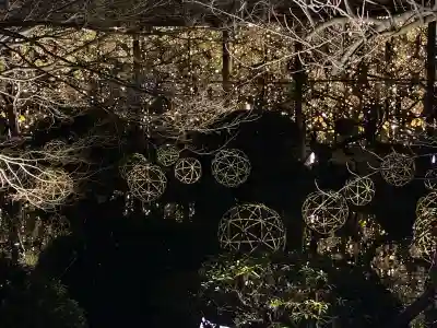 東寺（教王護国寺）の{uncategorized: "未分類", other: "その他", undefined: "問題あり", building: "その他建物", grave: "お墓", sacred_gate: "鳥居", guardian: "狛犬", statue: "像", buddha: "仏像", history: "歴史", nature: "自然", garden: "庭園", animal: "動物", pagoda: "塔", temizu: "手水舎", mountain_gate: "山門・神門", sanctuary: "本殿・本堂", subordinate: "末社・摂社", art: "芸術", scenery: "景色", jizo: "地蔵", ema: "絵馬", goshuin: "御朱印", omikuji: "おみくじ", items: "授与品その他", amulet: "お守り", goshuincho: "御朱印帳", eats: "食事", festival: "お祭り", votive_dance: "神楽", shichigosan: "七五三参", wedding: "結婚式", experience: "体験その他", initially: "初詣", around: "周辺", anti_infection: "感染症対策"}