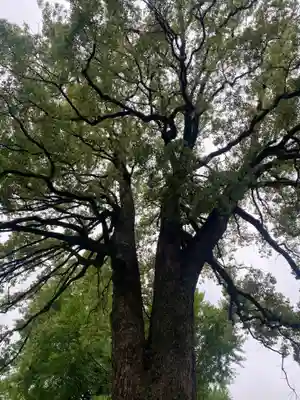 冠稲荷神社(群馬県)
