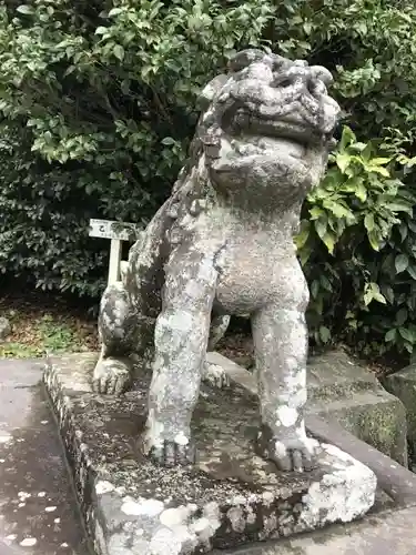 鶴岡八幡宮の狛犬