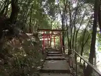 二葉姫稲荷神社の鳥居