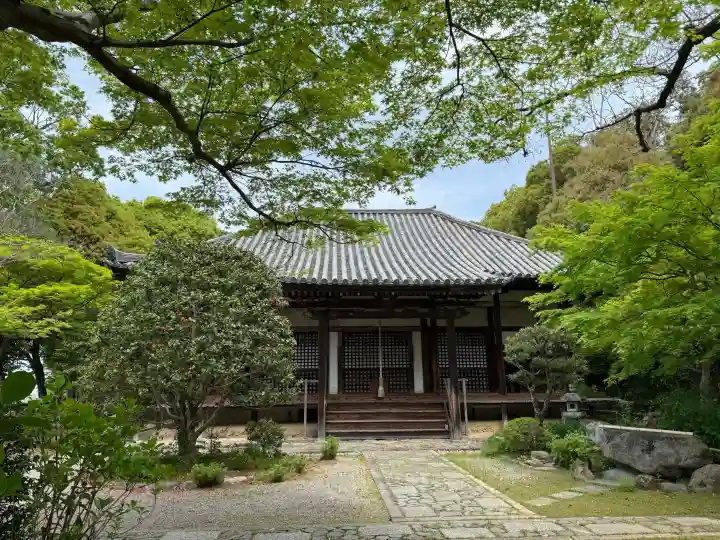 白毫寺の{uncategorized: "未分類", other: "その他", undefined: "問題あり", building: "その他建物", grave: "お墓", sacred_gate: "鳥居", guardian: "狛犬", statue: "像", buddha: "仏像", history: "歴史", nature: "自然", garden: "庭園", animal: "動物", pagoda: "塔", temizu: "手水舎", mountain_gate: "山門・神門", sanctuary: "本殿・本堂", subordinate: "末社・摂社", art: "芸術", scenery: "景色", jizo: "地蔵", ema: "絵馬", goshuin: "御朱印", omikuji: "おみくじ", items: "授与品その他", amulet: "お守り", goshuincho: "御朱印帳", eats: "食事", festival: "お祭り", votive_dance: "神楽", shichigosan: "七五三参", wedding: "結婚式", experience: "体験その他", initially: "初詣", around: "周辺", anti_infection: "感染症対策"}