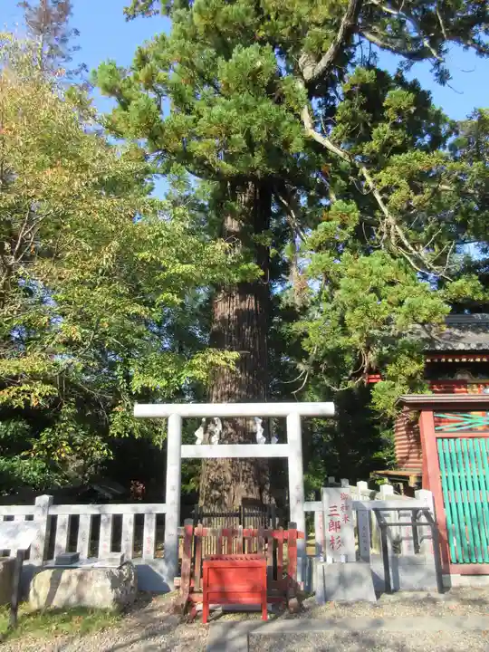 大杉神社のその他建物
