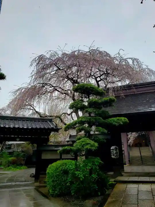 常圓寺(東京都)