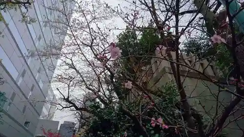 芝大神宮の自然