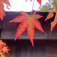 滑川神社 - 仕事と子どもの守り神(福島県)