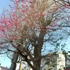 牛天神北野神社の自然