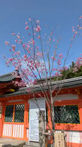 宇治神社の自然