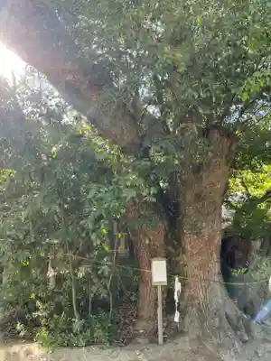 白鳥神社(香川県)