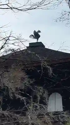 慈照寺（慈照禅寺・銀閣寺）(京都府)