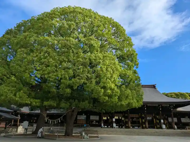 明治神宮の{uncategorized: "未分類", other: "その他", undefined: "問題あり", building: "その他建物", grave: "お墓", sacred_gate: "鳥居", guardian: "狛犬", statue: "像", buddha: "仏像", history: "歴史", nature: "自然", garden: "庭園", animal: "動物", pagoda: "塔", temizu: "手水舎", mountain_gate: "山門・神門", sanctuary: "本殿・本堂", subordinate: "末社・摂社", art: "芸術", scenery: "景色", jizo: "地蔵", ema: "絵馬", goshuin: "御朱印", omikuji: "おみくじ", items: "授与品その他", amulet: "お守り", goshuincho: "御朱印帳", eats: "食事", festival: "お祭り", votive_dance: "神楽", shichigosan: "七五三参", wedding: "結婚式", experience: "体験その他", initially: "初詣", around: "周辺", anti_infection: "感染症対策"}