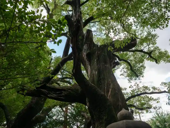 若一神社(京都府)