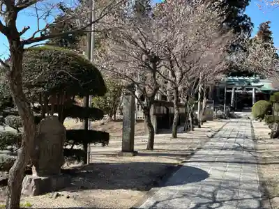 新橋浅間神社(静岡県)