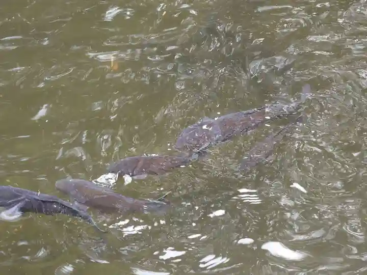 建部大社(滋賀県)