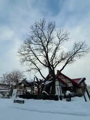 一本栗地主神社の{uncategorized: "未分類", other: "その他", undefined: "問題あり", building: "その他建物", grave: "お墓", sacred_gate: "鳥居", guardian: "狛犬", statue: "像", buddha: "仏像", history: "歴史", nature: "自然", garden: "庭園", animal: "動物", pagoda: "塔", temizu: "手水舎", mountain_gate: "山門・神門", sanctuary: "本殿・本堂", subordinate: "末社・摂社", art: "芸術", scenery: "景色", jizo: "地蔵", ema: "絵馬", goshuin: "御朱印", omikuji: "おみくじ", items: "授与品その他", amulet: "お守り", goshuincho: "御朱印帳", eats: "食事", festival: "お祭り", votive_dance: "神楽", shichigosan: "七五三参", wedding: "結婚式", experience: "体験その他", initially: "初詣", around: "周辺", anti_infection: "感染症対策"}
