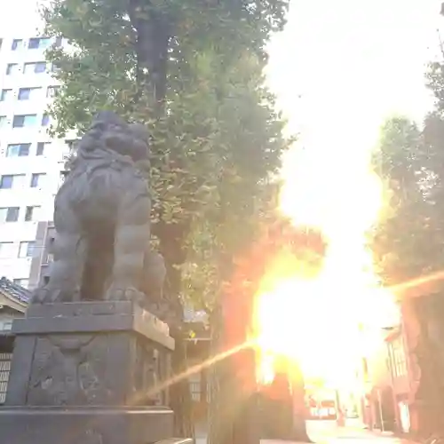 牛嶋神社の狛犬