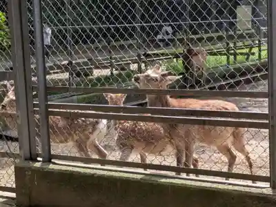 鹿島神宮(茨城県)