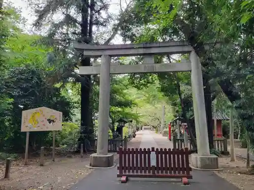 岩槻久伊豆神社の鳥居