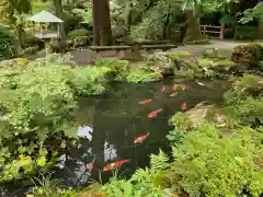 明通寺の庭園