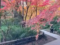 深大寺の庭園