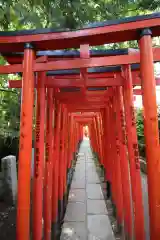 根津神社の鳥居