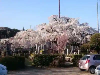 源空院（浅井寺）の自然