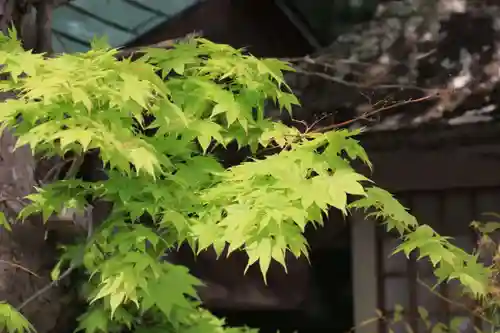 鹿島大神宮の景色