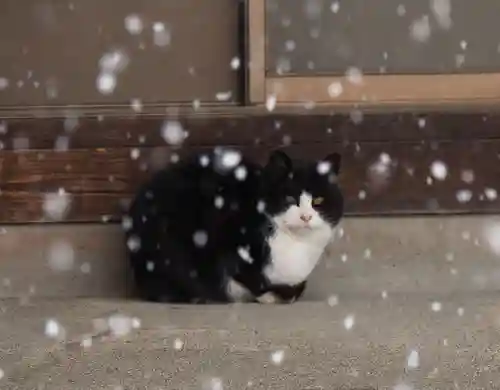 今市報徳二宮神社(栃木県)