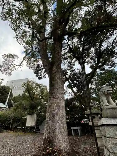 湯前神社(静岡県)