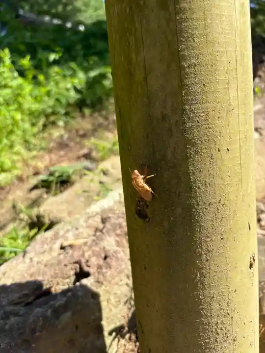 正福寺(茨城県)