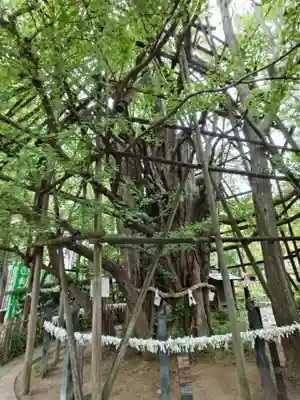 稲毛神社(神奈川県)
