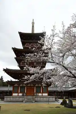 薬師寺(奈良県)